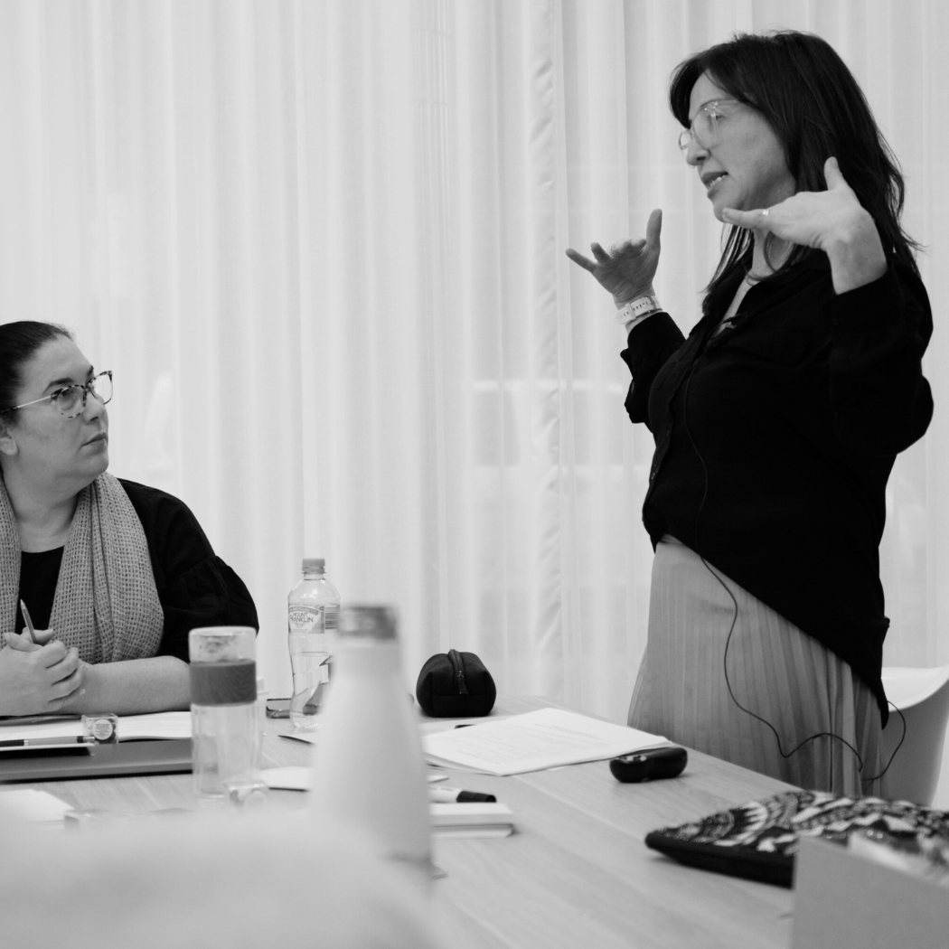 Vikki training a group of professionals